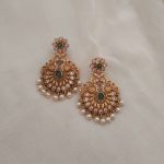 Premium Quality Light Weight Peacock Chandbali Earrings