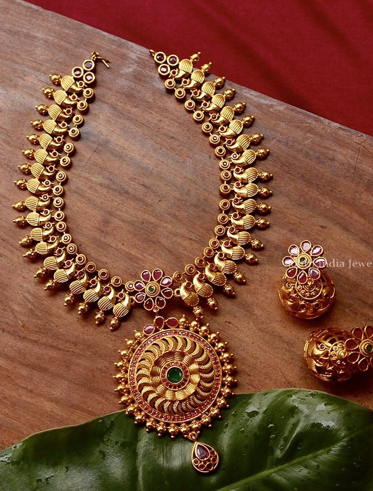 Beautiful Peacock with Chakra Necklace