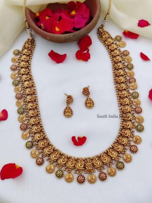 Beautiful Lakshmi Coin Long Haram