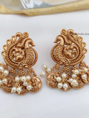Beautiful Peacock Coin Necklace (2)
