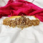 Wedding Wear Multi Stone Hipbelt