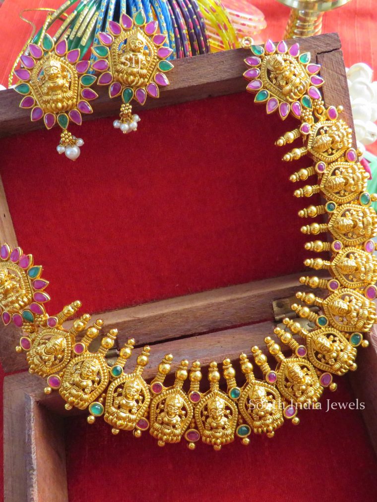 Elegant Lakshmi Design Necklace..