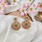 Exquisite Peacock Design Earrings
