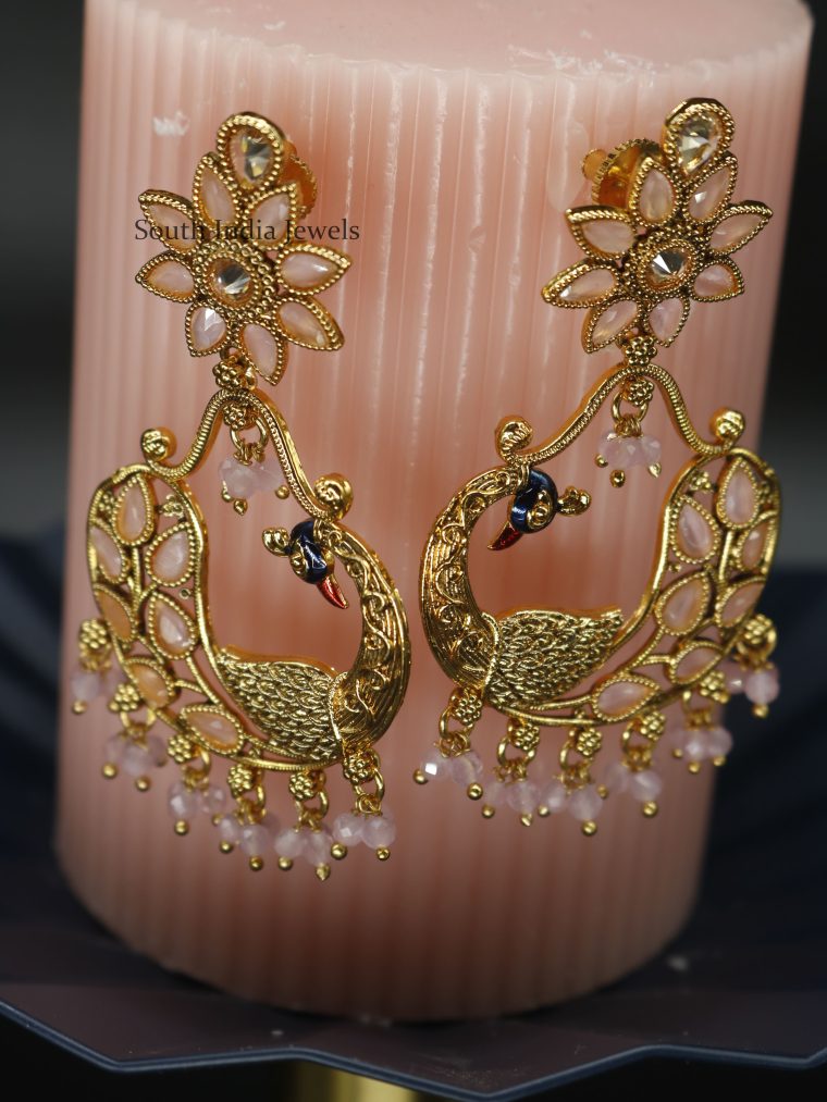 Peacock Design Earrings (2)