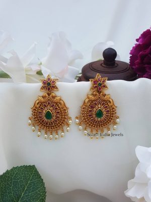 Mesmerizing Peacock design Earrings