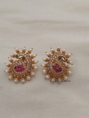 Stunning Mango Design Earrings