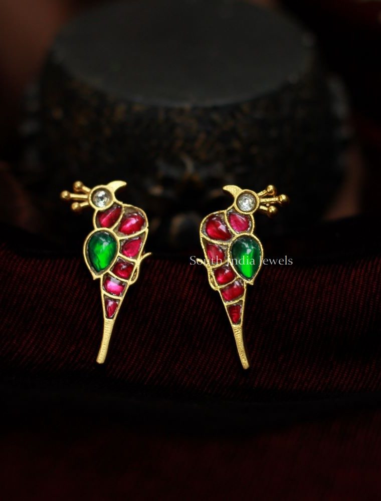 Colorful Peacock Design Earrings (2)