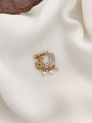 Magnificent Design Nose Pin (2)