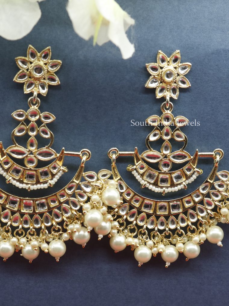 Beautiful Pearls Studded Earrings (2)