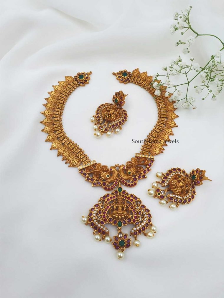 Attractive Lakshmi kasu Necklace