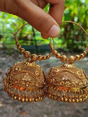 Amazing Biz Sized Hoop Jhumkas