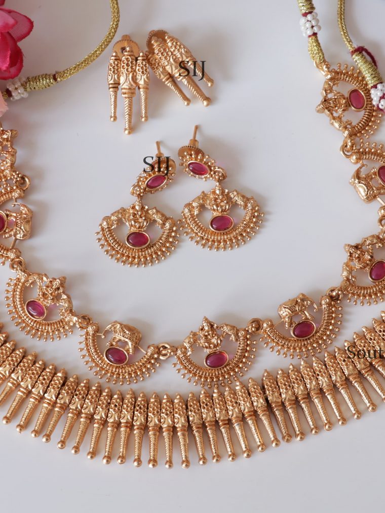 Attractive Lakshmi Design Necklace (2)