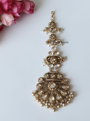 Elegant Aadhrika Maang Tikka