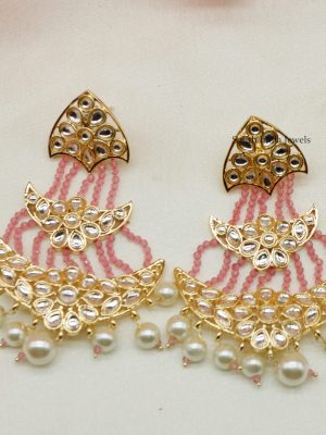 Stunning Designer Long Earrings