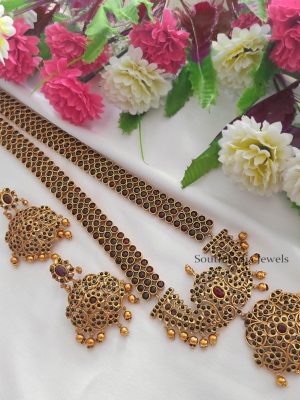 Elegant Red Stone Long Necklace Set
