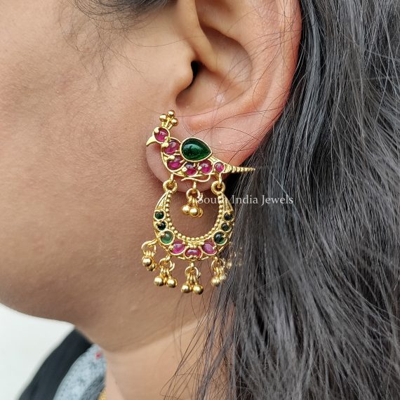 Gorgeous Parrot Design Earrings