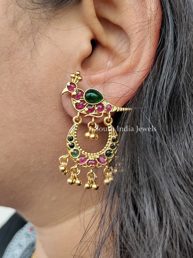 Gorgeous Parrot Design Earrings