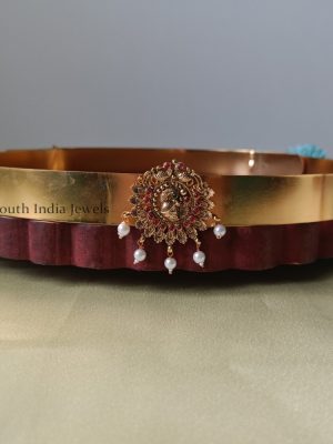 Trendy Peacock Design Hipbelt
