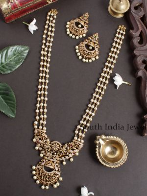 Amazing Peacock AD Pearl Haram