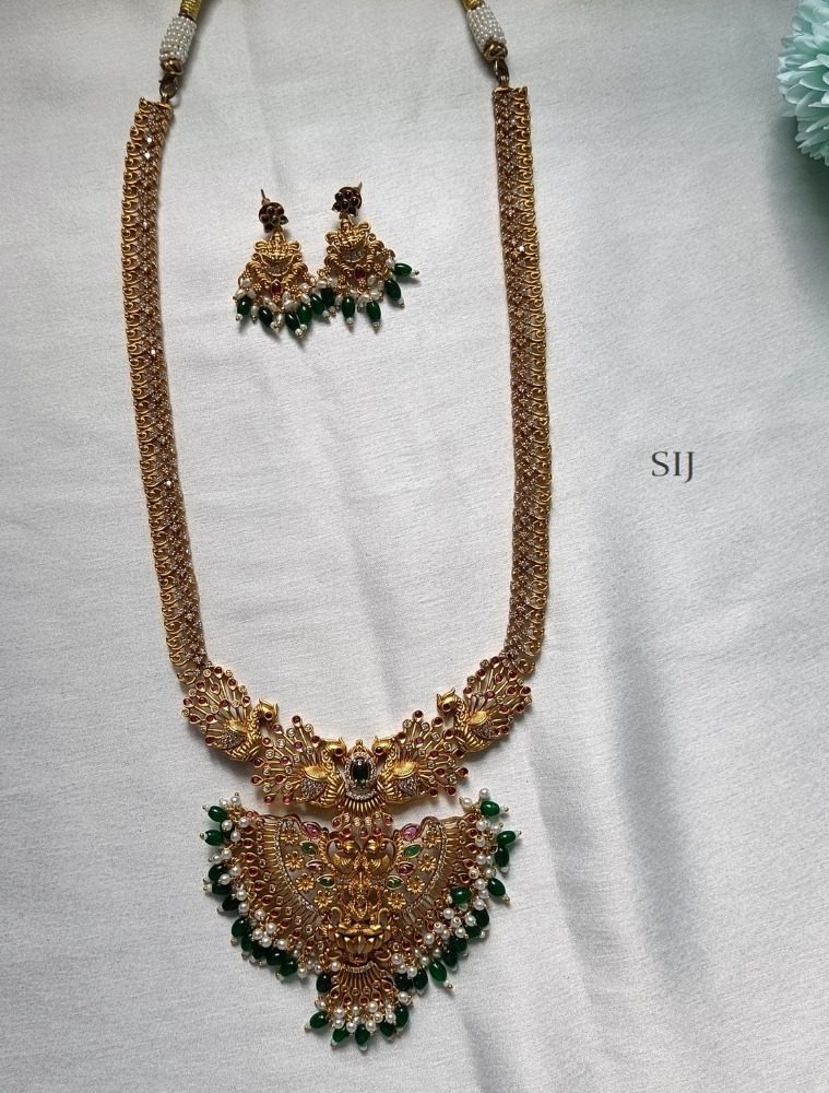 Beautiful Premium Lakshmi Haram Set