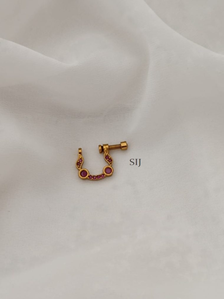 Ring And Screw Type Nose Pin