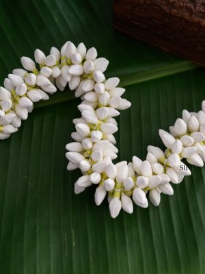 Artificial Jasmine Bud Hand Strung String - 16inch/ 1 Mozham