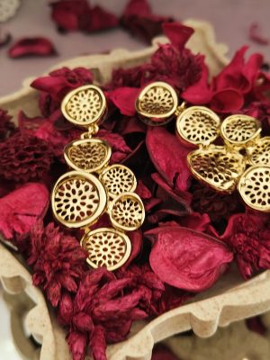 Gold Plated Hollow Circular Design Earring