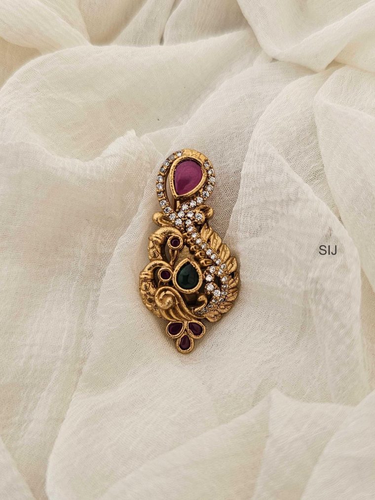 Peacock Eye Catching Saree Pin