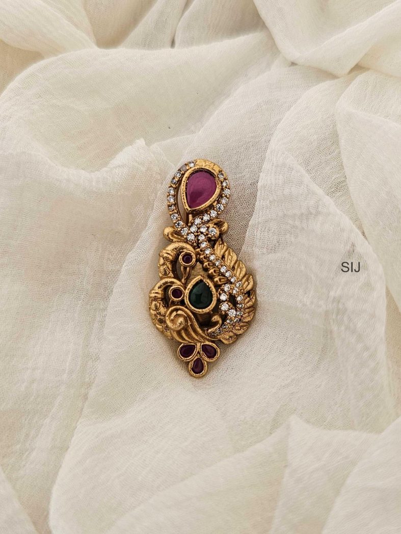 Peacock Eye Catching Saree Pin