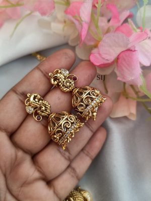 Temple Lakshmi Nakshi Necklace Set