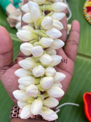 Artificial Jasmine Flower String - XL Bud ( Gundu Malli Size )