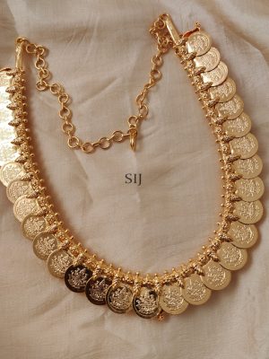 2 in 1 Mango and Lakshmi Coin Necklace