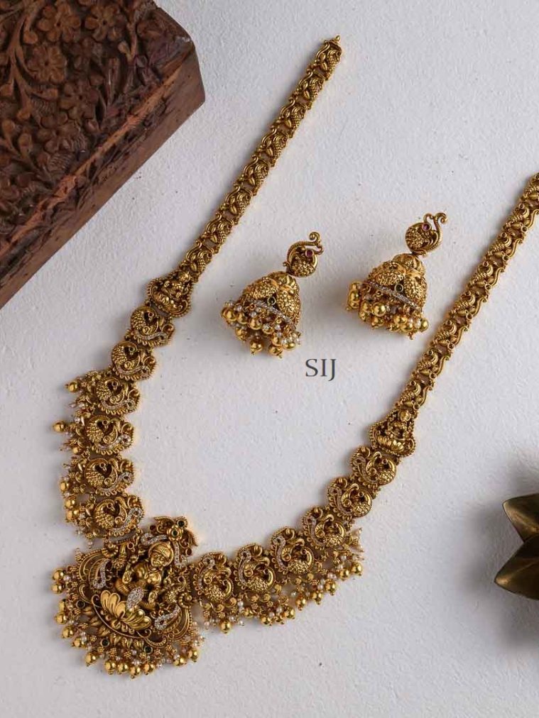 Temple Lakshmi with Peacock Nakshi Long Haram Set