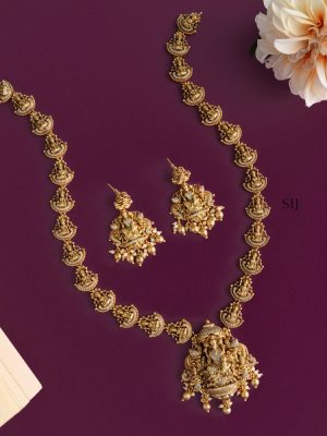 Traditional Lakshmi Devi Haram with White Stones
