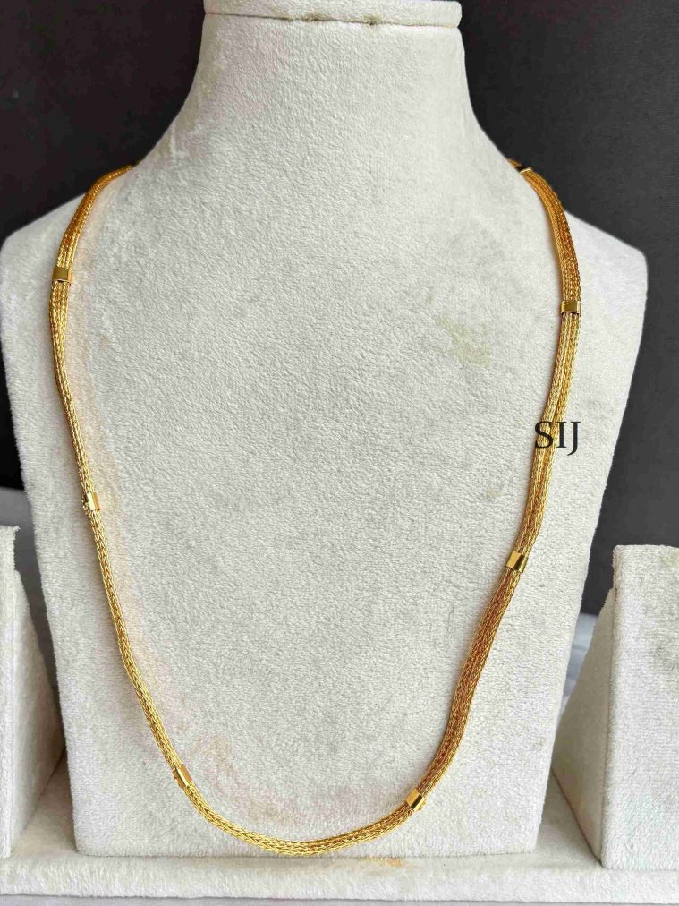 Gold Finish Long Chain