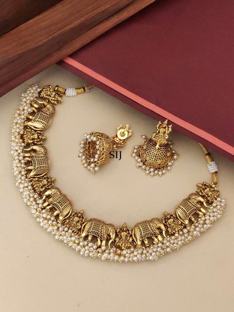 Gold Plated Elephant &Laxmi Design Necklace Set