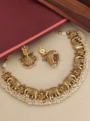 Gold Plated Elephant &Laxmi Design Necklace Set