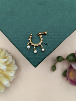 AD Ring Nose Pin AADIN01296