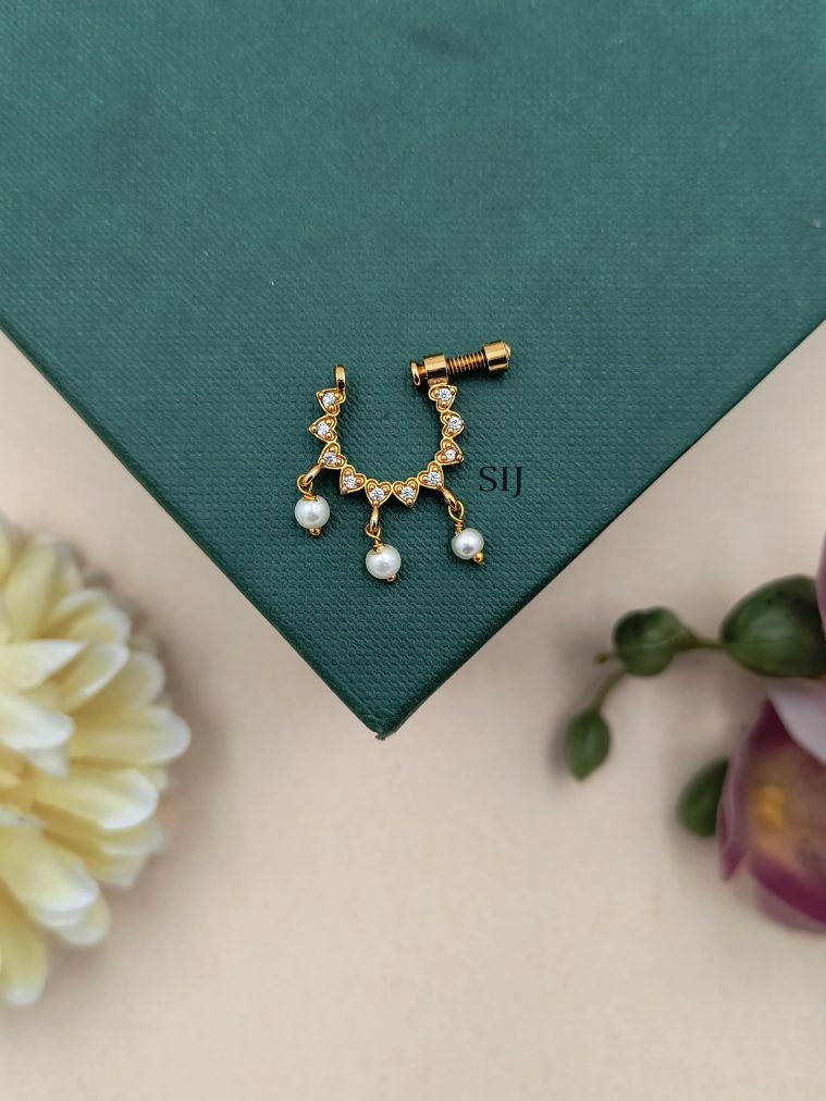 AD Ring Nose Pin AADIN01296