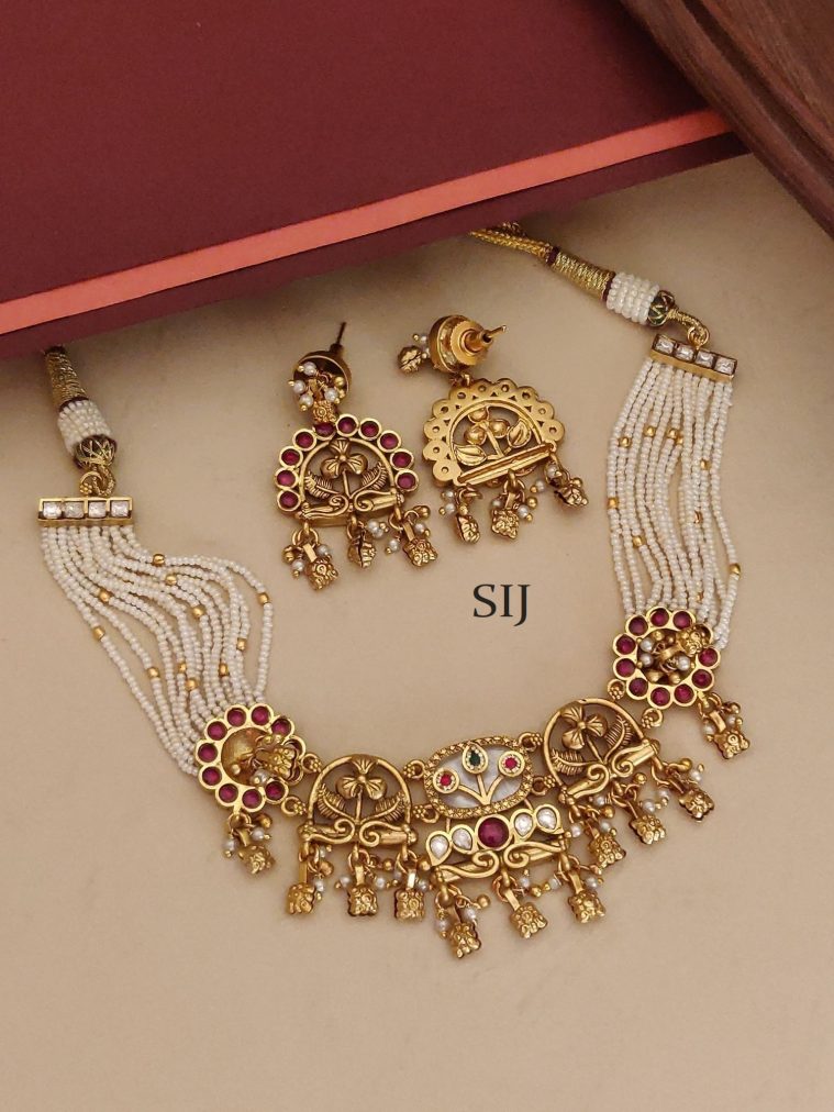Stone Beaded Necklace ABDIN02150