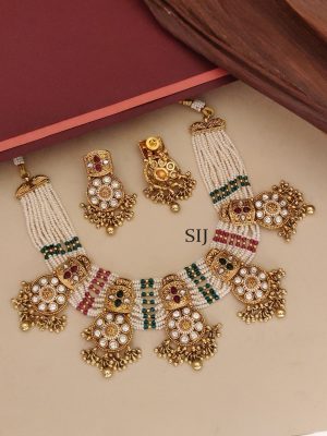 Stone Beaded Necklace ABDIN02151