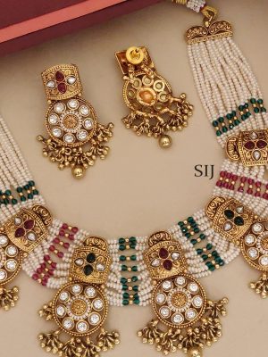 Stone Beaded Necklace ABDIN02151