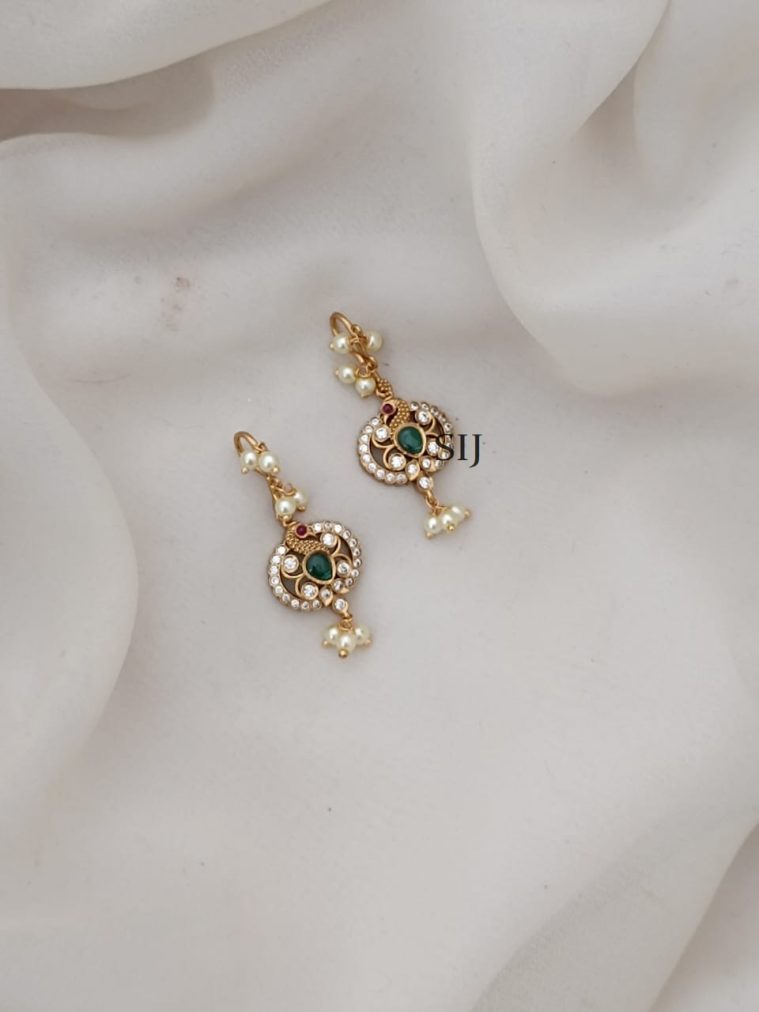 Stone Earrings ARJIE02476