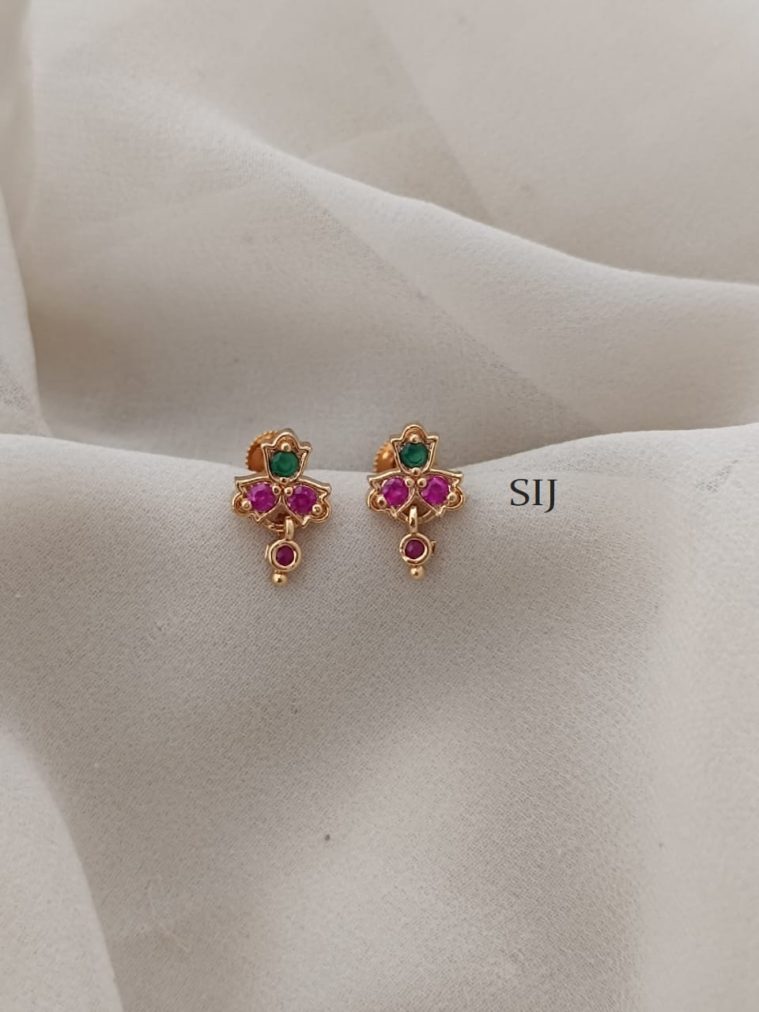 Stone Screw Back Stud Earrings ARJIE02588