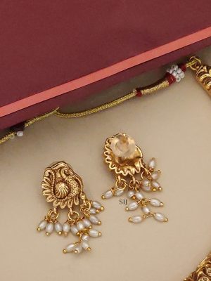 Guttapusalu Kante Necklace ABDIN02101