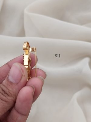 Peacock Ruby Saree Pin ARJIS02601