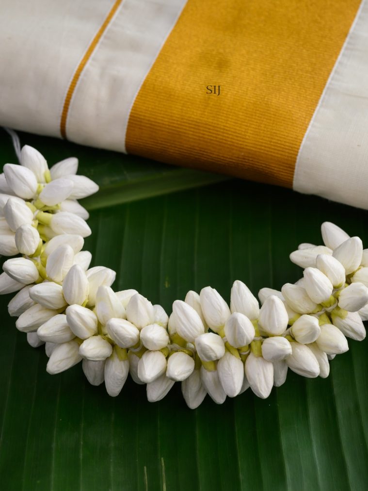 Reusable Realistic Jasmine Small Veni AJPIHA03209