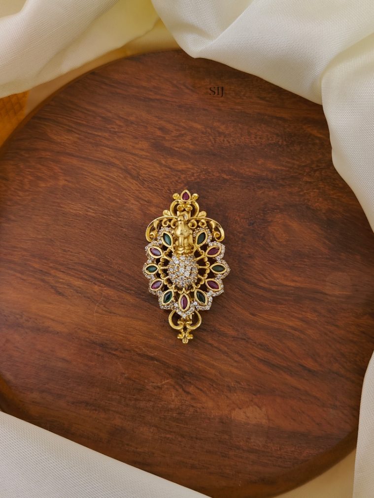 Saree Pin(Saree Brooch) AJPIS03218