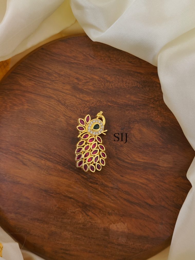 Saree Pin (Saree Brooch) AJPIS03221