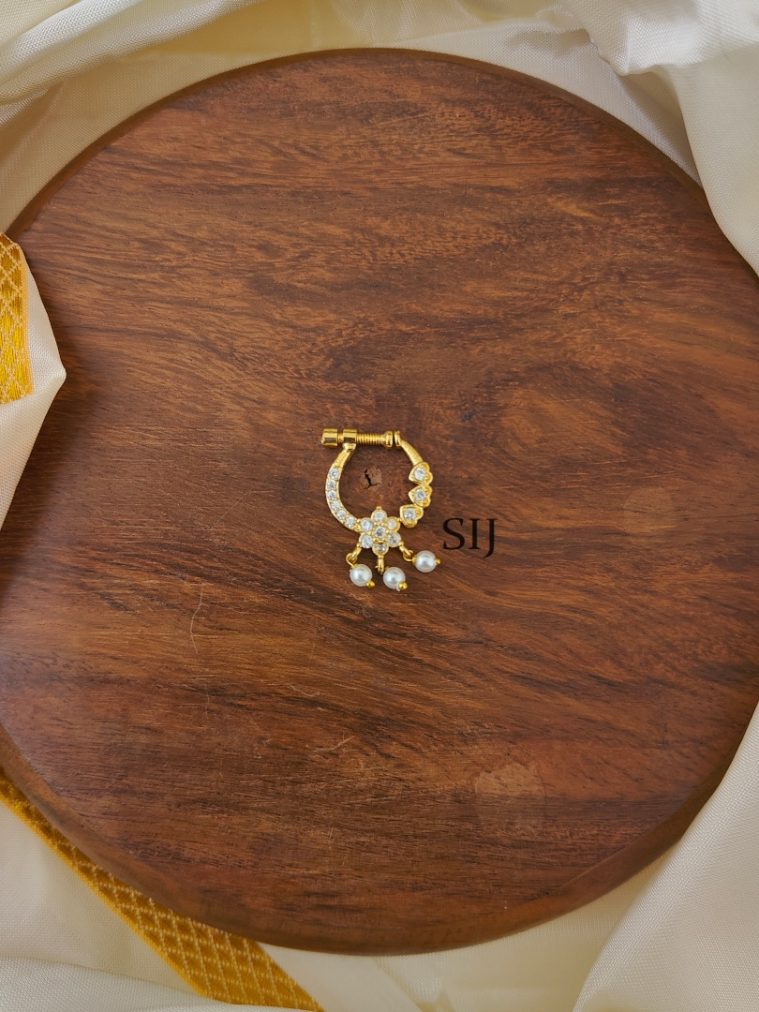 Nose Ring AJPIPN03228